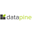 Datapine Logo