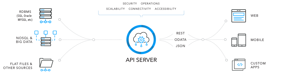 The API Server at a Glance