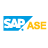 SAP Sybase Icon