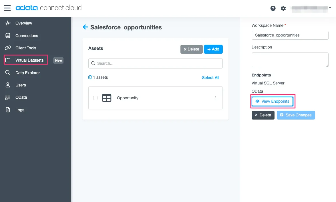 データセット設定内のView Endpoints ボタン