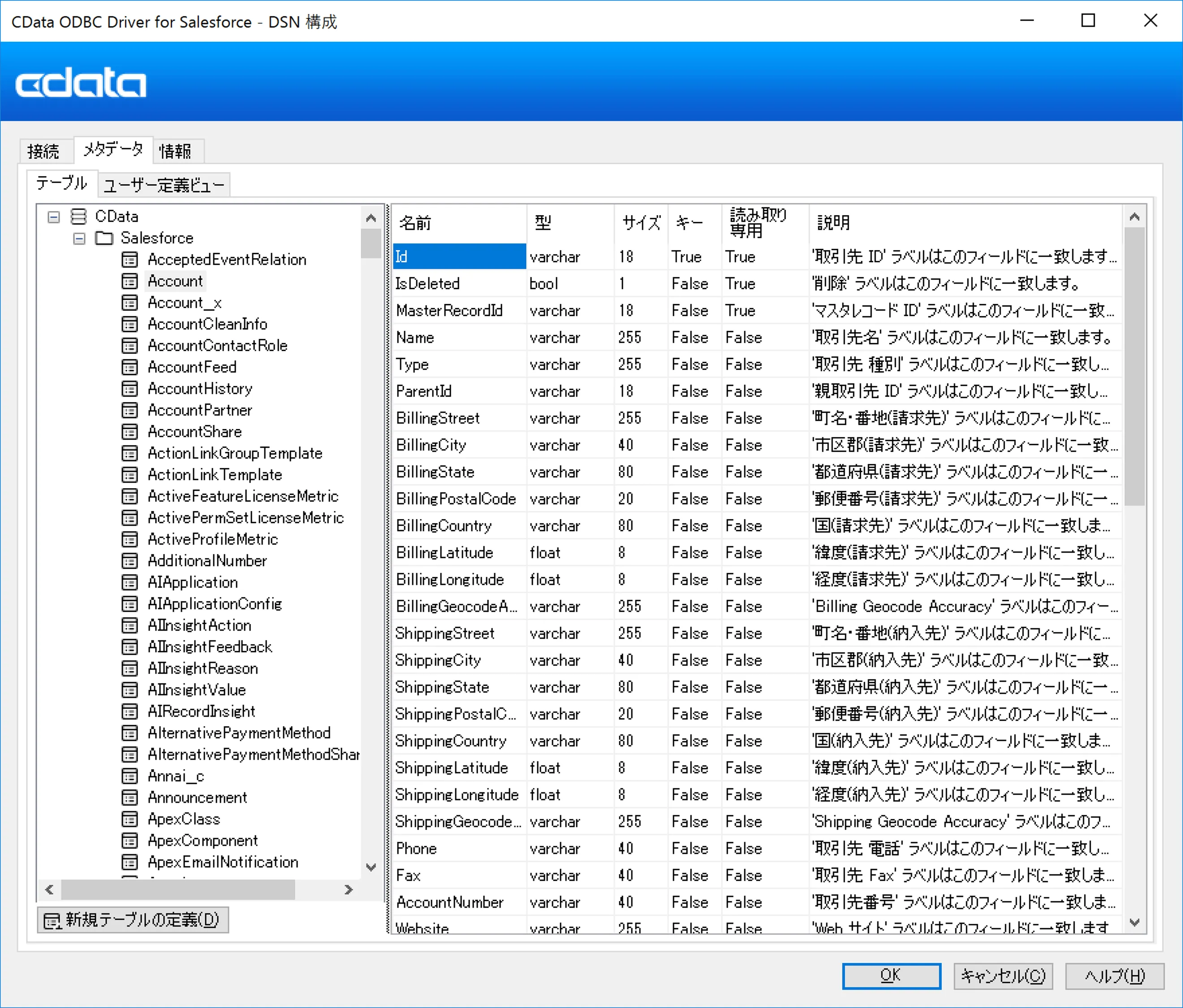 Accessデータのメタデータ確認画面