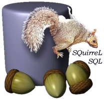 SQuirreL ロゴ画像
