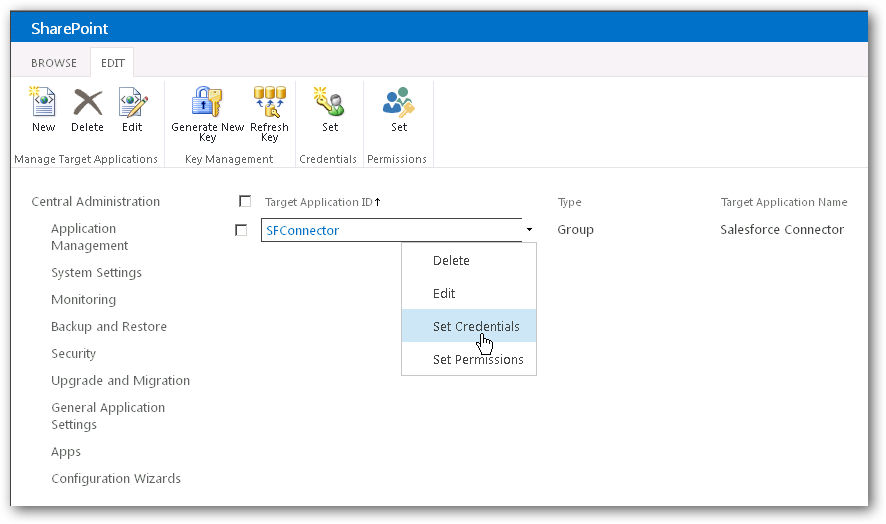 The first step to save credentials to the API Server in the secure store.(Salesforce is shown.)