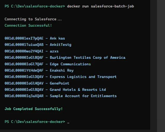 Local docker run output showing a successful Salesforce connection and Account records Local docker run output showing a successful Salesforce connection and Account records