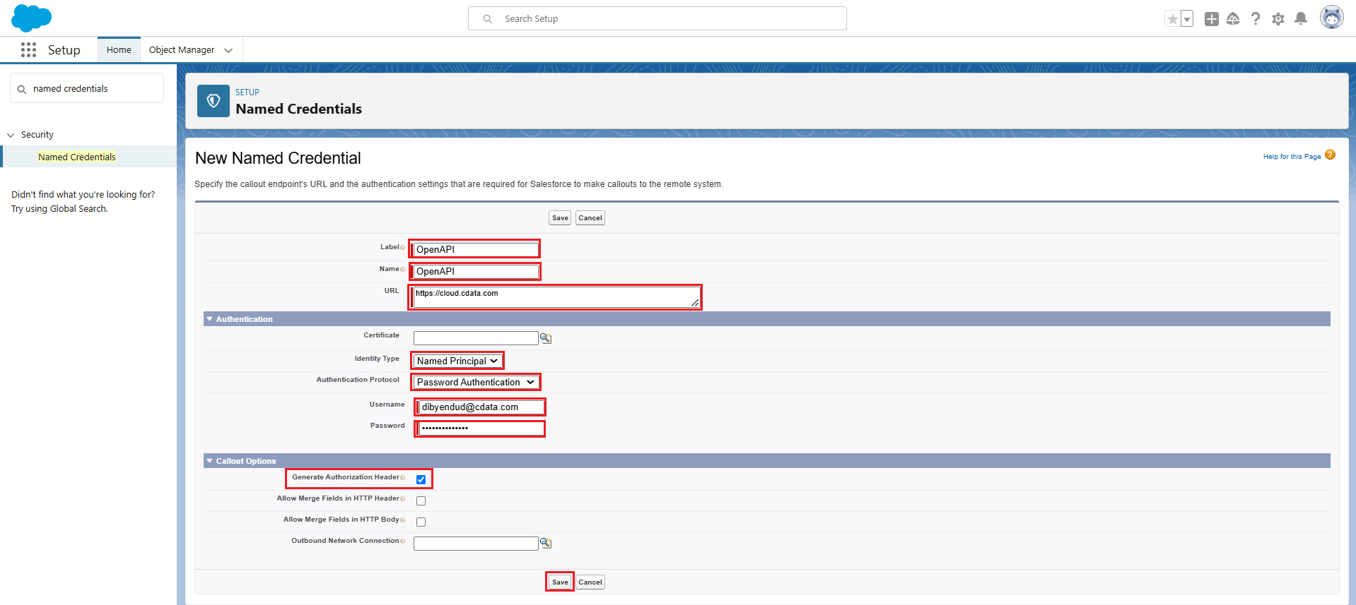 Save the Named Credential details