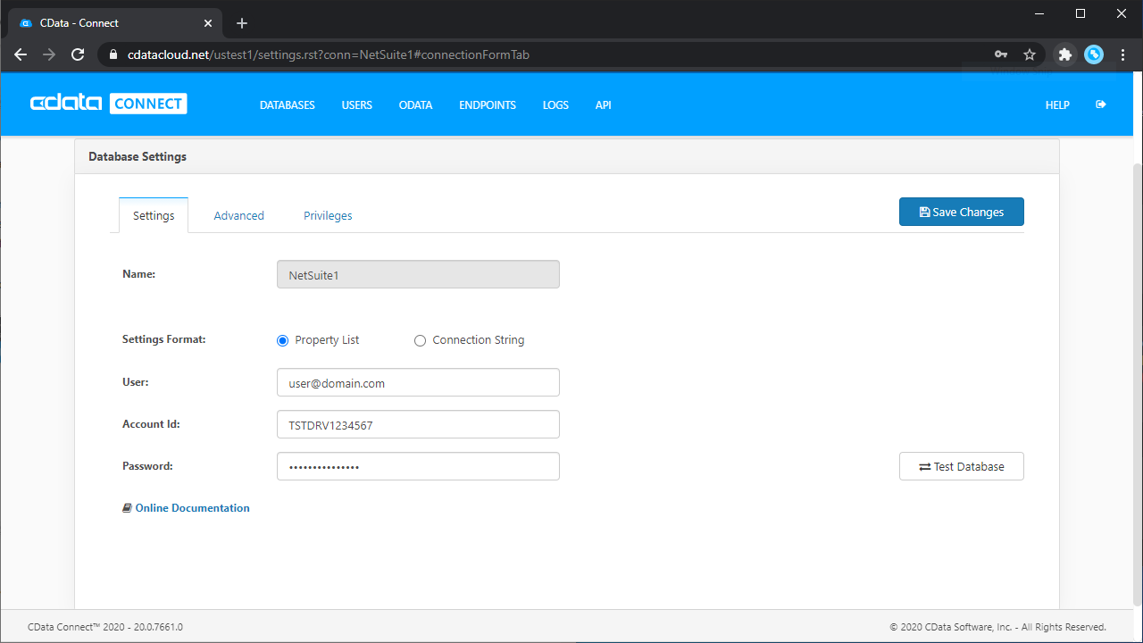 Configuring a connection （NetSuite の例）