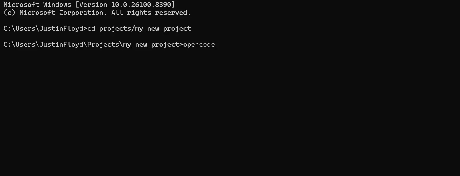 Starting an OpenCode CLI session