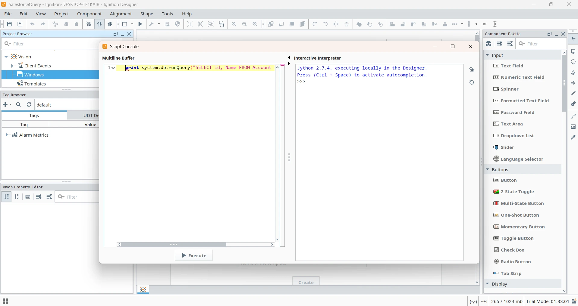 Running the test query in the Script Console (Salesforce is shown)