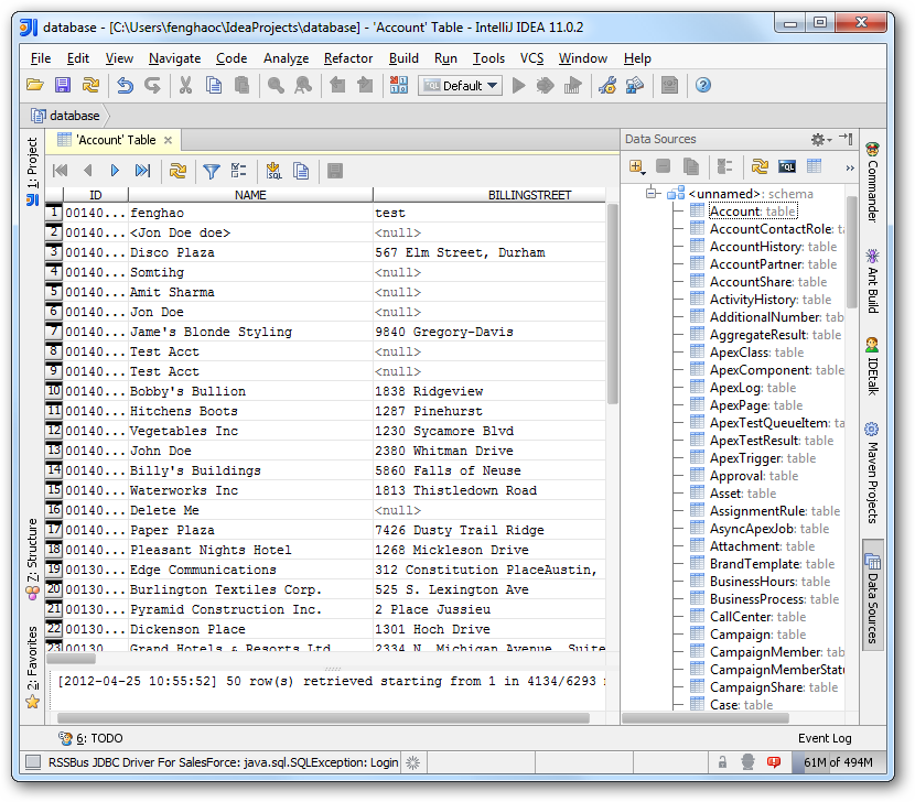 The results of a query in IntelliJ.(Salesforce is shown.)