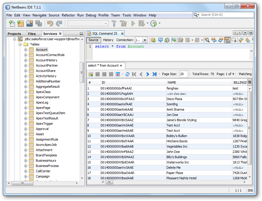 The results of a query in NetBeans. (Salesforce is shown.)