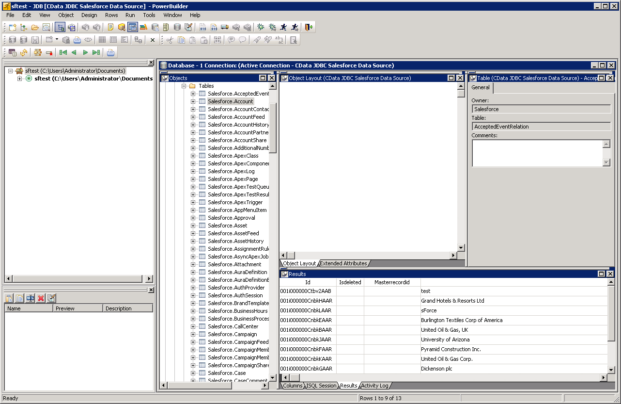 Modify database objects in the Database Painter. (Salesforce is shown.)