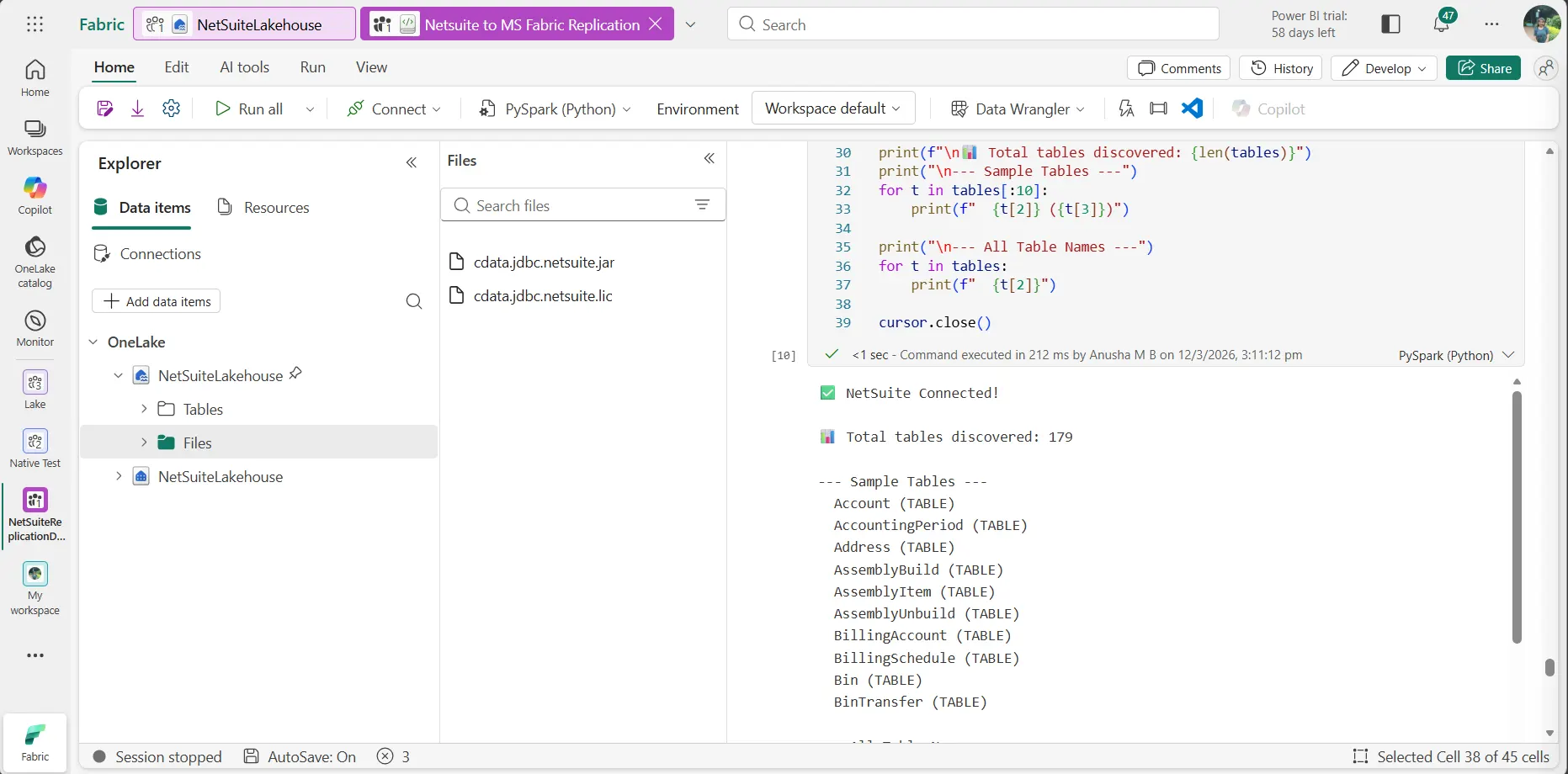 Connected to NetSuite and schema discovery