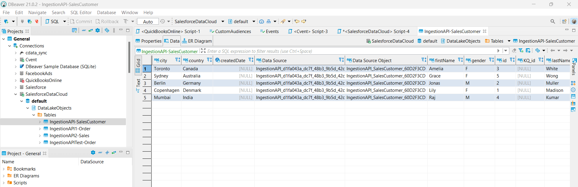 The external data is ingested into Salesforce Data Cloud