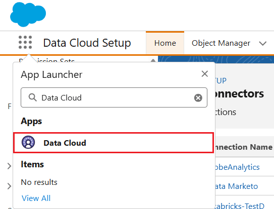 Select Data Cloud from App Launcher
