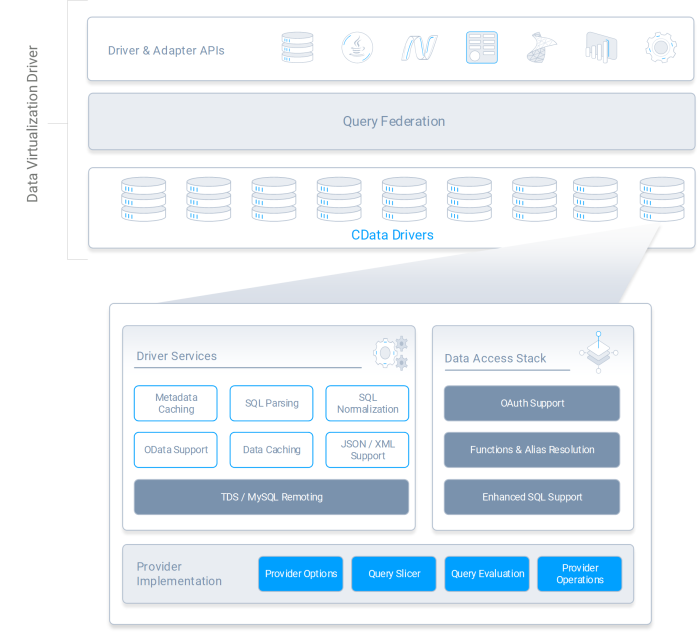 Embeded Data Virtualization Diagram