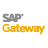 SAP Netweaver Gateway Icon