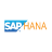 SAP HANA Icon