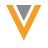 Veeva Icon