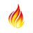 FHIR Icon