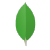 MongoDB Icon