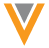 Veeva Vault Icon
