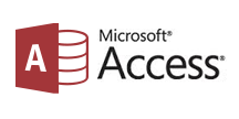 Microsoft Access Logo