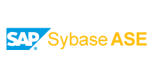 Sybase Logo